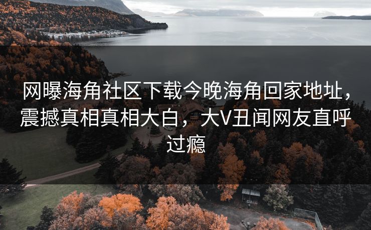 网曝海角社区下载今晚海角回家地址，震撼真相真相大白，大V丑闻网友直呼过瘾